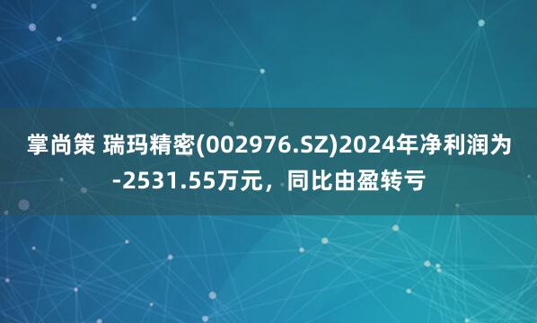 掌尚策 瑞玛精密(002976.SZ)2024年净利润为-2531.55万元，同比由盈转亏