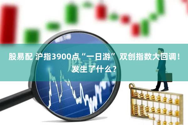 股易配 沪指3900点“一日游” 双创指数大回调！发生了什么？