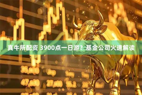 真牛所配资 3900点一日游？基金公司火速解读