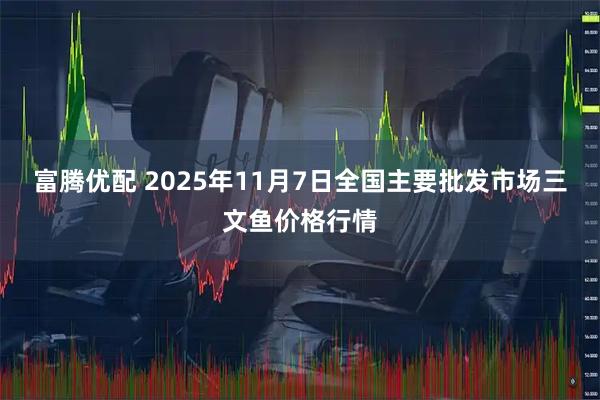 富腾优配 2025年11月7日全国主要批发市场三文鱼价格行情