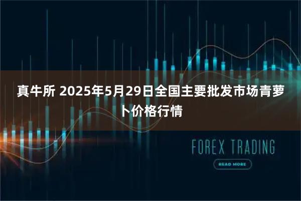 真牛所 2025年5月29日全国主要批发市场青萝卜价格行情